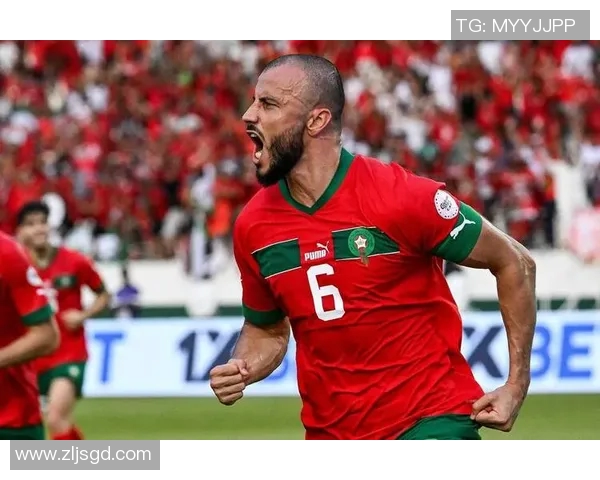 南非与坦桑尼亚足球对决展现非洲足球魅力与竞争力